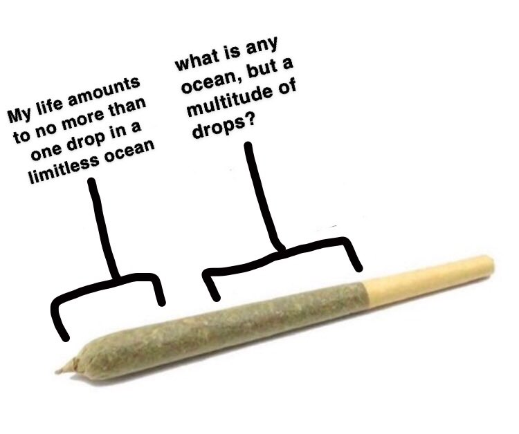 stupid meme