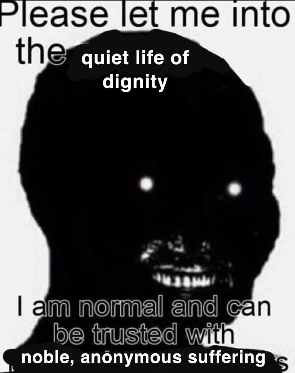stupid meme