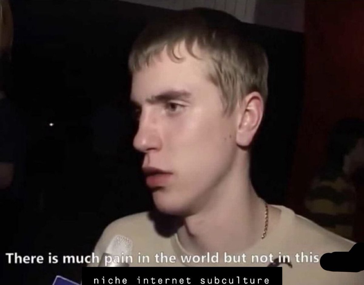 stupid meme