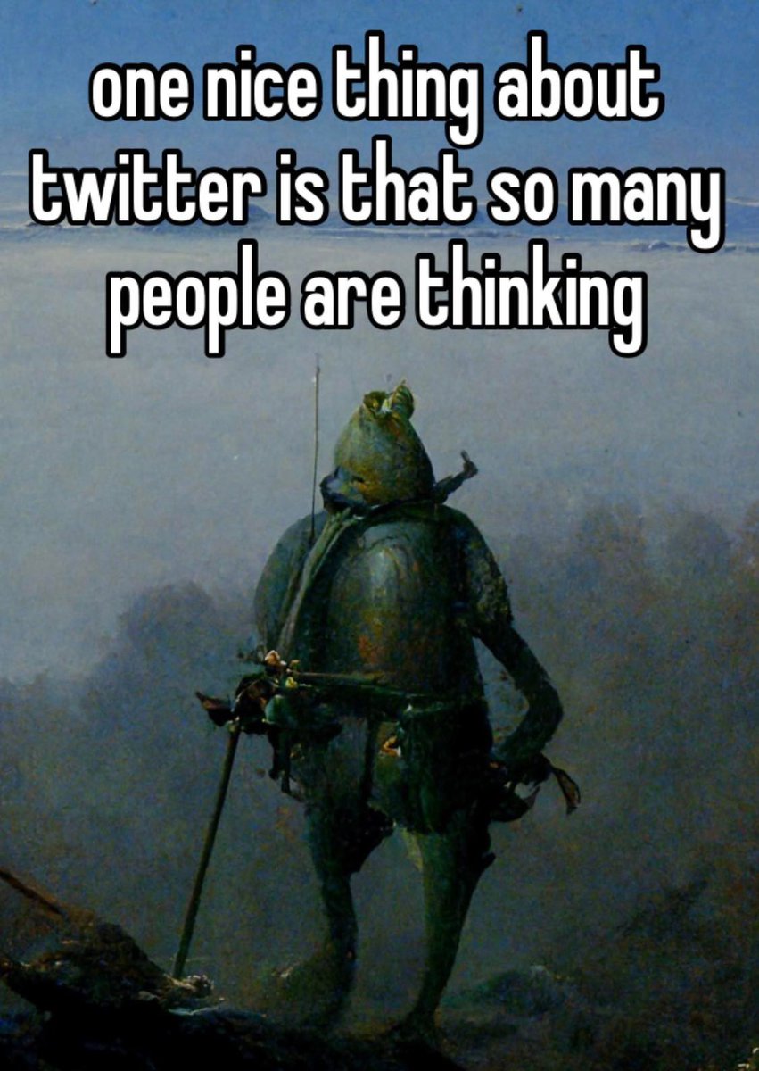 stupid meme
