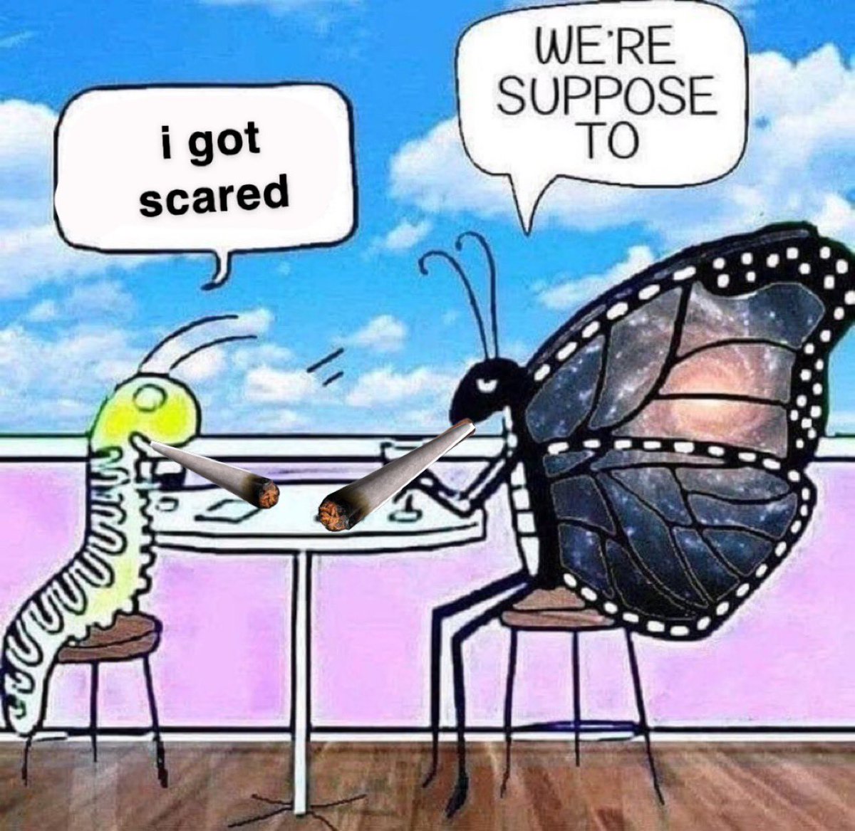 stupid meme