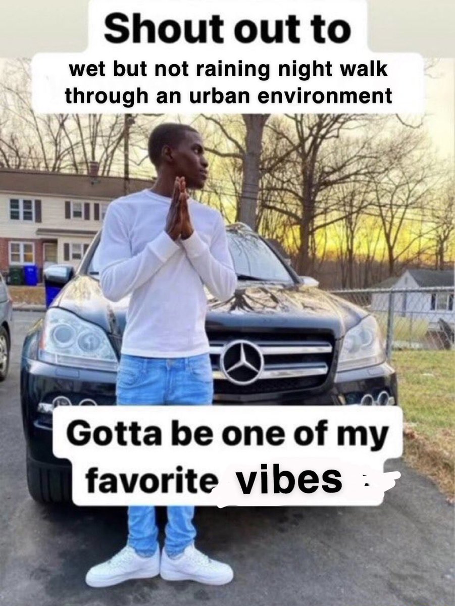 stupid meme